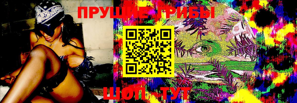 Галлюциногенные грибы мухоморы  Вход с VPN  Саранск  Галлюциногенные грибы Cubensis 